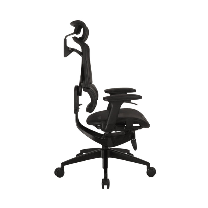 Zenox Nebula Ergonomic Office Chair - Office Chair - Zenox - Zenox