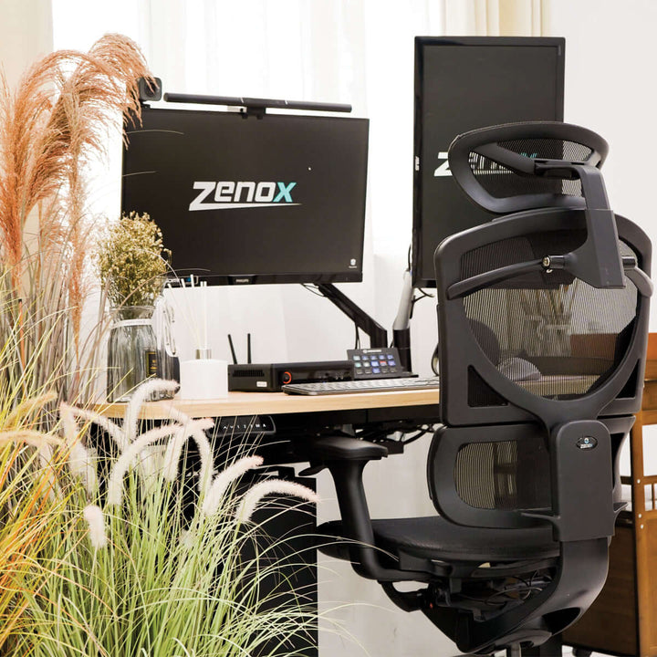 Zenox Nebula Ergonomic Office Chair - Office Chair - Zenox - Zenox