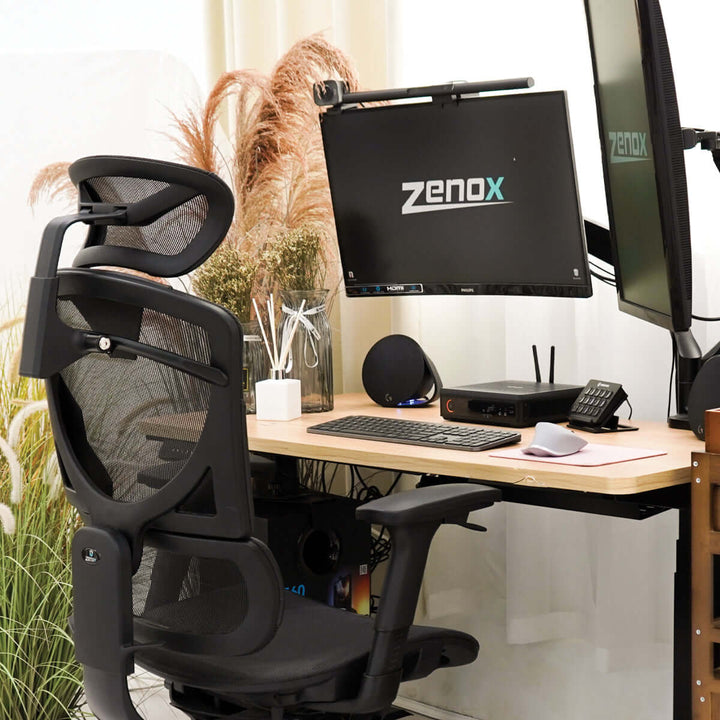 Zenox Nebula Ergonomic Office Chair - Office Chair - Zenox - Zenox