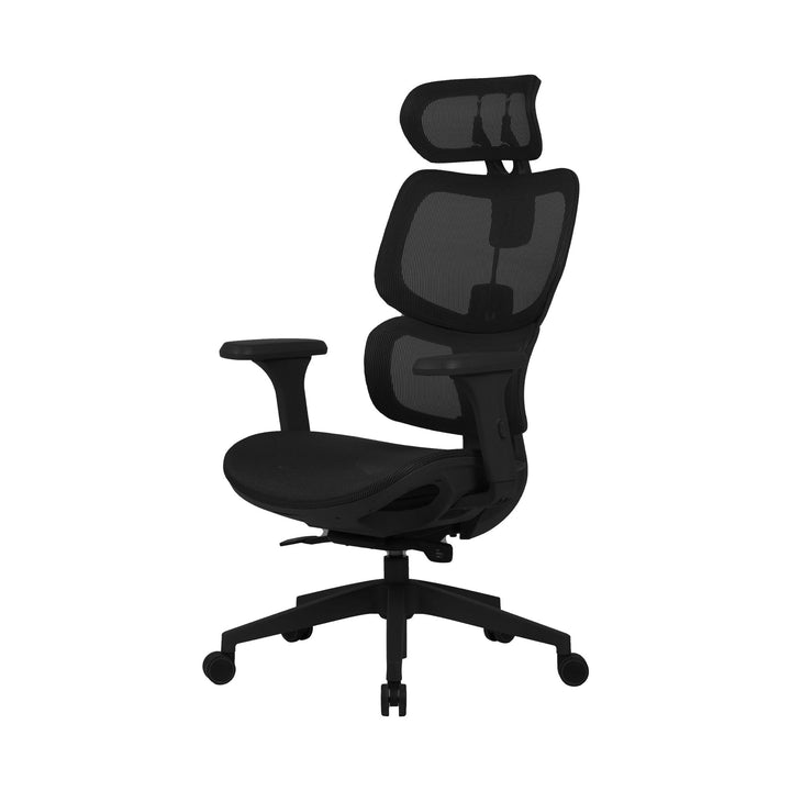 Zenox Shiho Ergonomic Office Chair (Black) - Office Chair - Zenox - Zenox