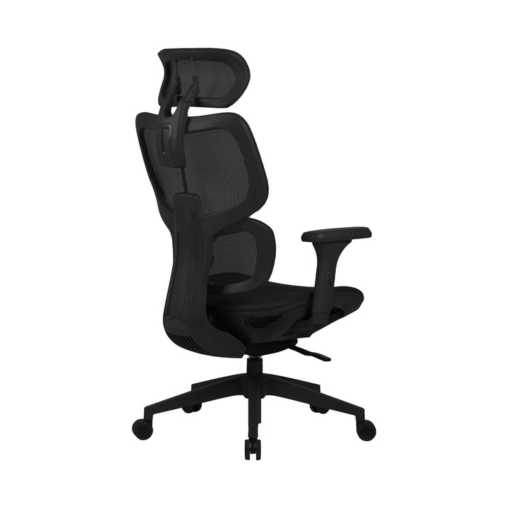 Zenox Shiho Ergonomic Office Chair (Black) - Office Chair - Zenox - Zenox