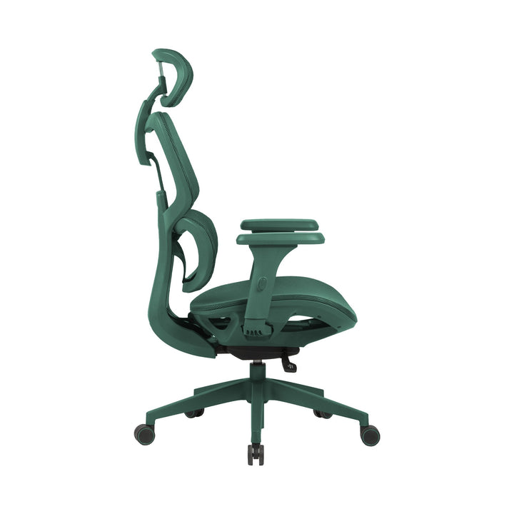 Zenox Shiho Ergonomic Office Chair (Green) - Office Chair - Zenox - Zenox