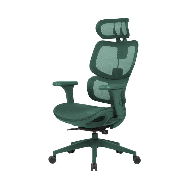 Zenox Shiho Ergonomic Office Chair (Green) - Office Chair - Zenox - Zenox