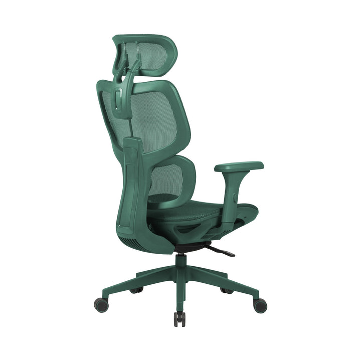 Zenox Shiho Ergonomic Office Chair (Green) - Office Chair - Zenox - Zenox