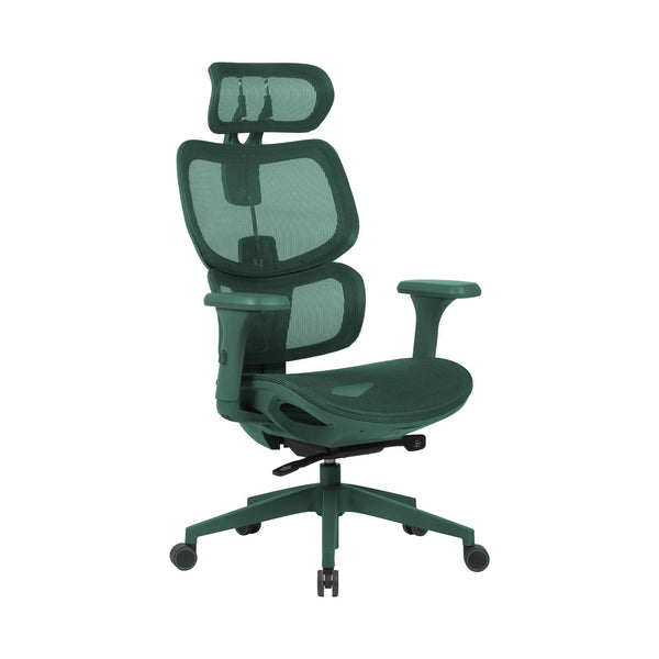 Zenox Shiho Ergonomic Office Chair (Green) - Office Chair - Zenox - Zenox