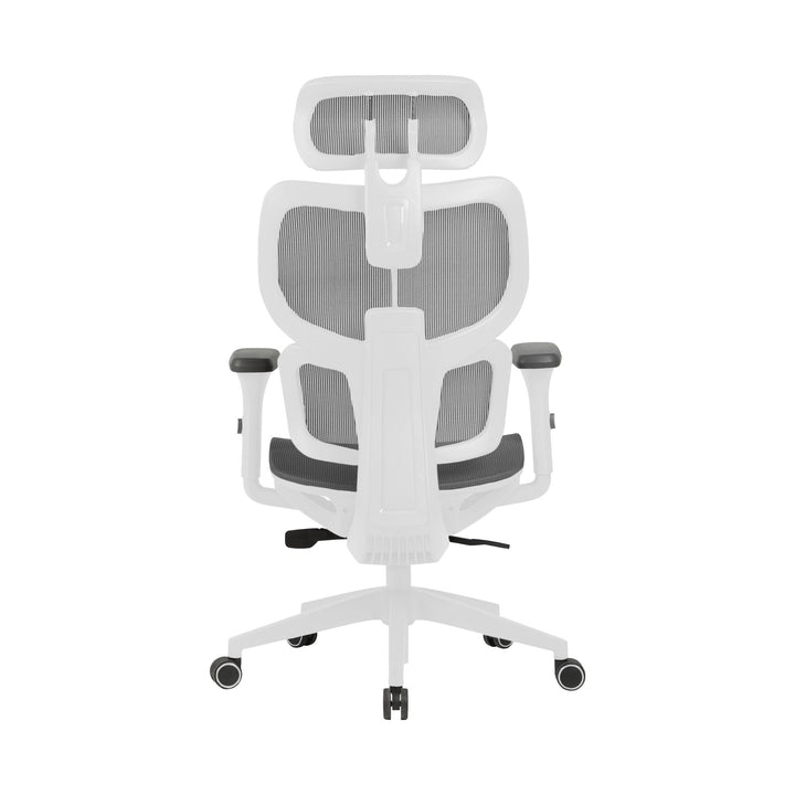 Zenox Shiho Ergonomic Office Chair (Grey) - Office Chair - Zenox - Zenox