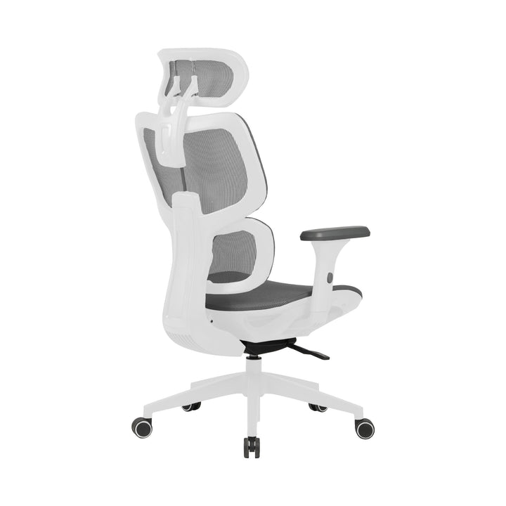 Zenox Shiho Ergonomic Office Chair (Grey) - Office Chair - Zenox - Zenox