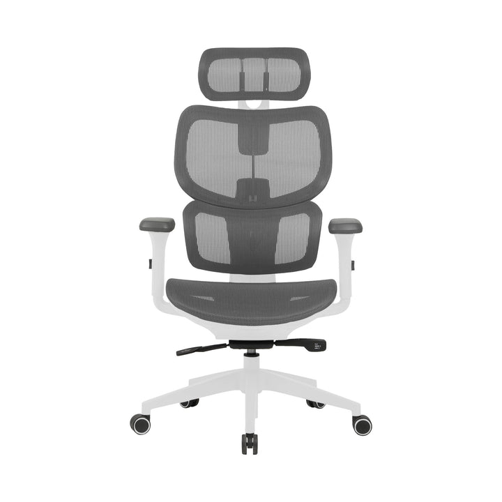 Zenox Shiho Ergonomic Office Chair (Grey) - Office Chair - Zenox - Zenox