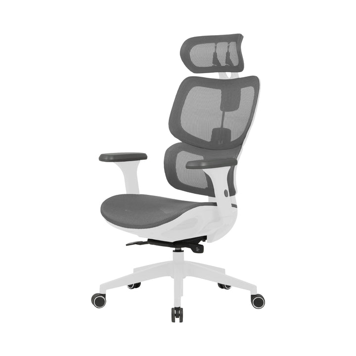 Zenox Shiho Ergonomic Office Chair (Grey) - Office Chair - Zenox - Zenox