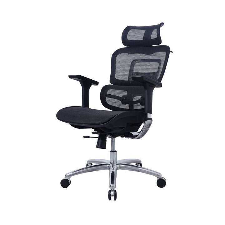 Zenox Ten - E Ergonomic Office Chair (Black) - Office Chair - Zenox - Zenox