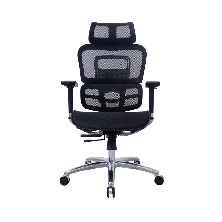 Zenox Ten - E Ergonomic Office Chair (Black) - Office Chair - Zenox - Zenox