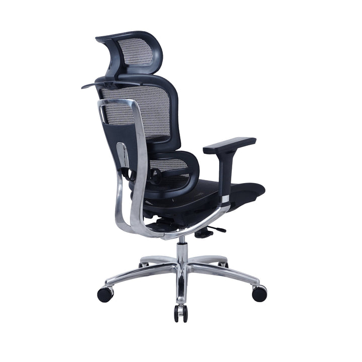Zenox Ten - E Ergonomic Office Chair (Black) - Office Chair - Zenox - Zenox