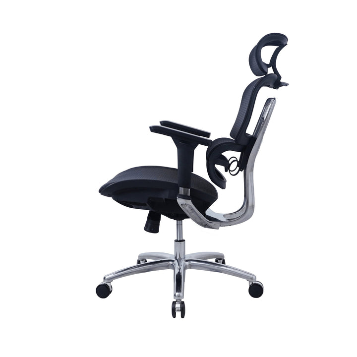 Zenox Ten - E Ergonomic Office Chair (Black) - Office Chair - Zenox - Zenox