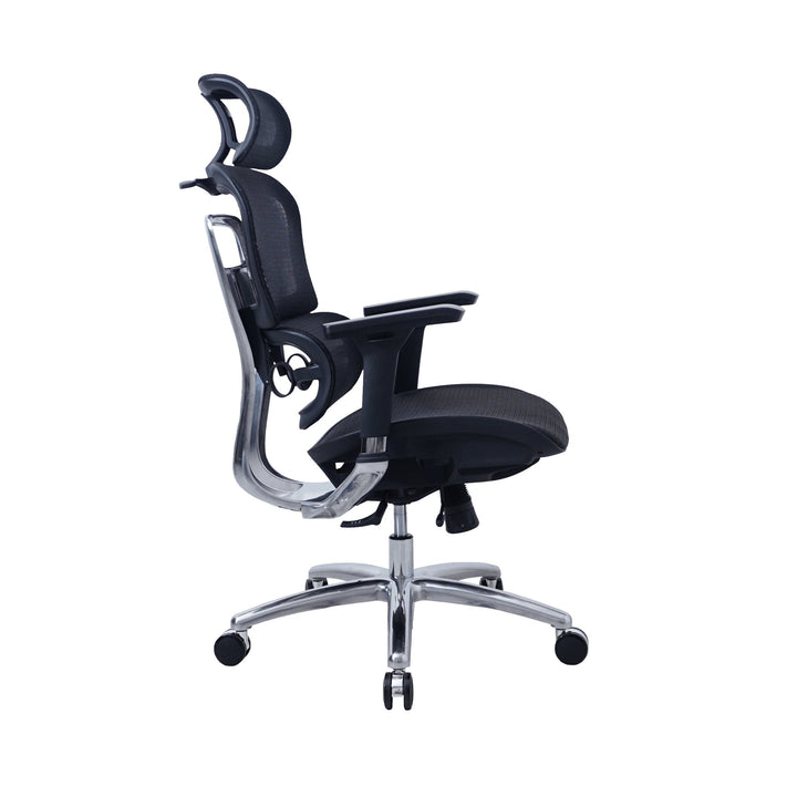 Zenox Ten - E Ergonomic Office Chair (Black) - Office Chair - Zenox - Zenox