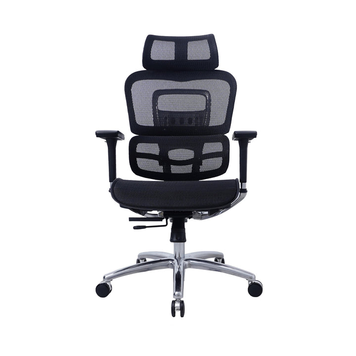 Zenox Ten - E Ergonomic Office Chair (Black) - Office Chair - Zenox - Zenox