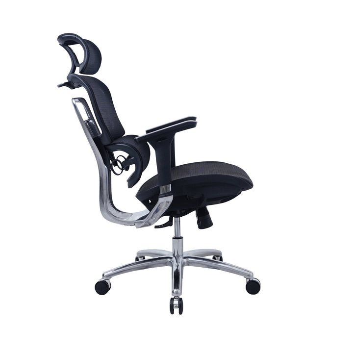 Zenox Ten - E Ergonomic Office Chair (Black) - Office Chair - Zenox - Zenox