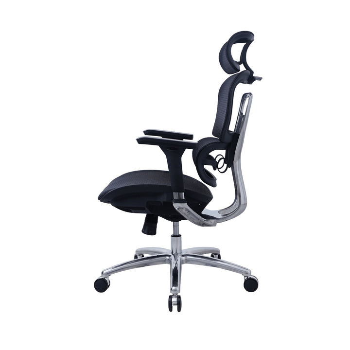 Zenox Ten - E Ergonomic Office Chair (Black) - Office Chair - Zenox - Zenox