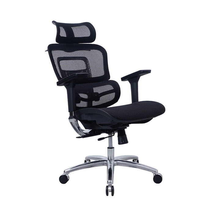 Zenox Ten - E Ergonomic Office Chair (Black) - Office Chair - Zenox - Zenox