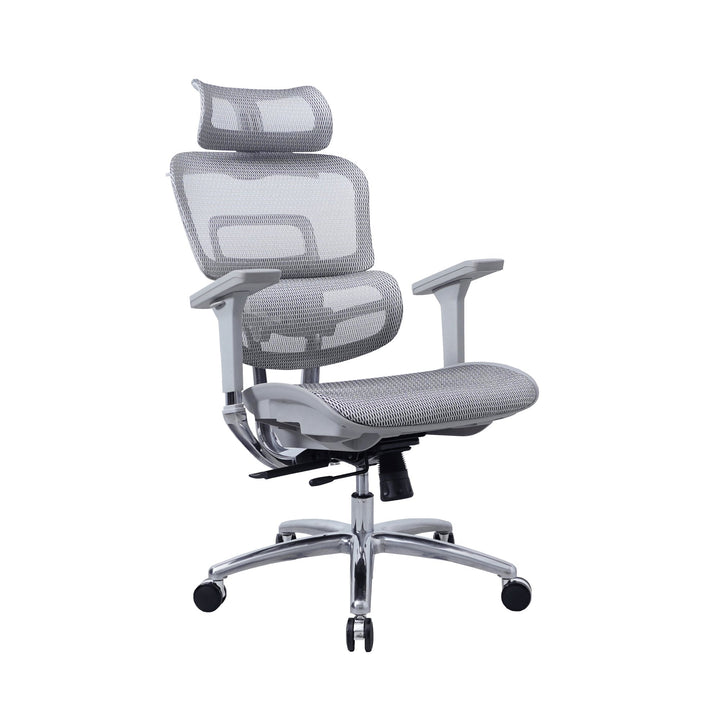 Zenox Ten - E Ergonomic Office Chair (Grey) - Office Chair - Zenox - Zenox