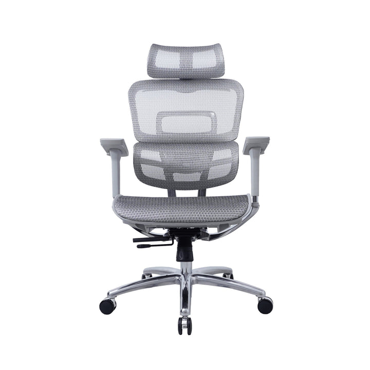 Zenox Ten - E Ergonomic Office Chair (Grey) - Office Chair - Zenox - Zenox