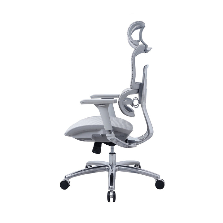 Zenox Ten - E Ergonomic Office Chair (Grey) - Office Chair - Zenox - Zenox