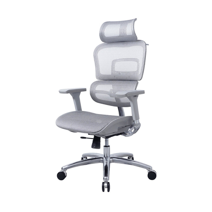Zenox Ten - E Ergonomic Office Chair (Grey) - Office Chair - Zenox - Zenox