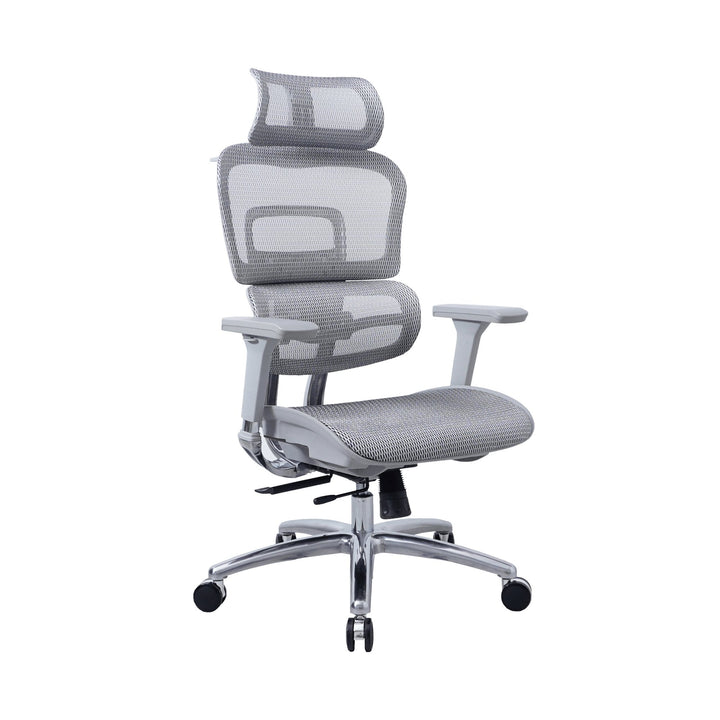 Zenox Ten - E Ergonomic Office Chair (Grey) - Office Chair - Zenox - Zenox