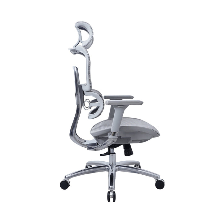 Zenox Ten - E Ergonomic Office Chair (Grey) - Office Chair - Zenox - Zenox