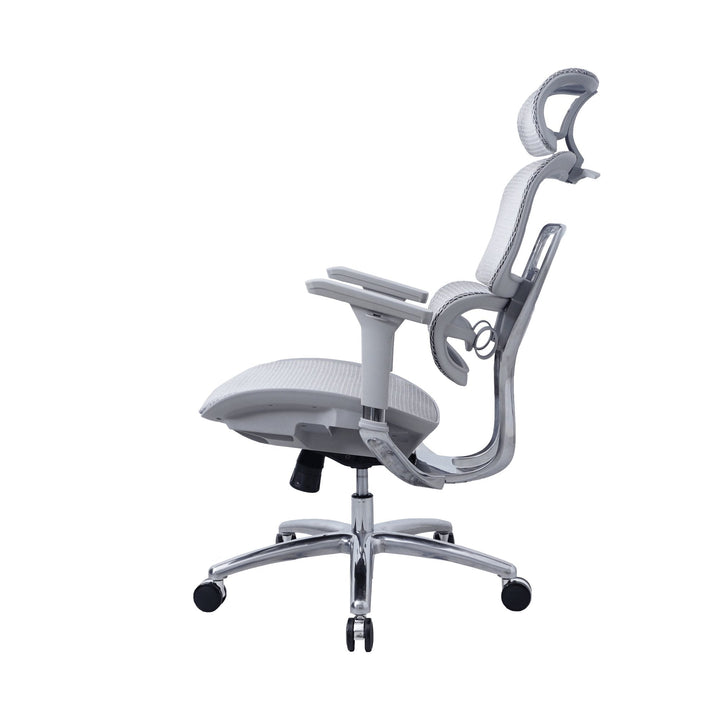 Zenox Ten - E Ergonomic Office Chair (Grey) - Office Chair - Zenox - Zenox