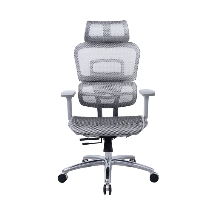 Zenox Ten - E Ergonomic Office Chair (Grey) - Office Chair - Zenox - Zenox