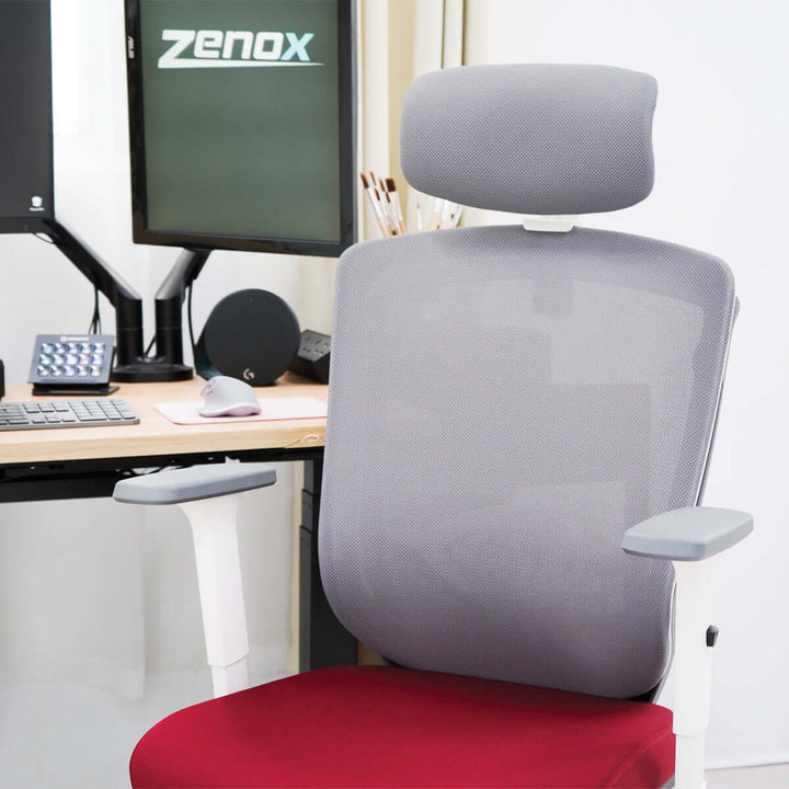 Zenox Zagen Ergonomic Office Chair (Green) - Office Chair - Zenox - Zenox