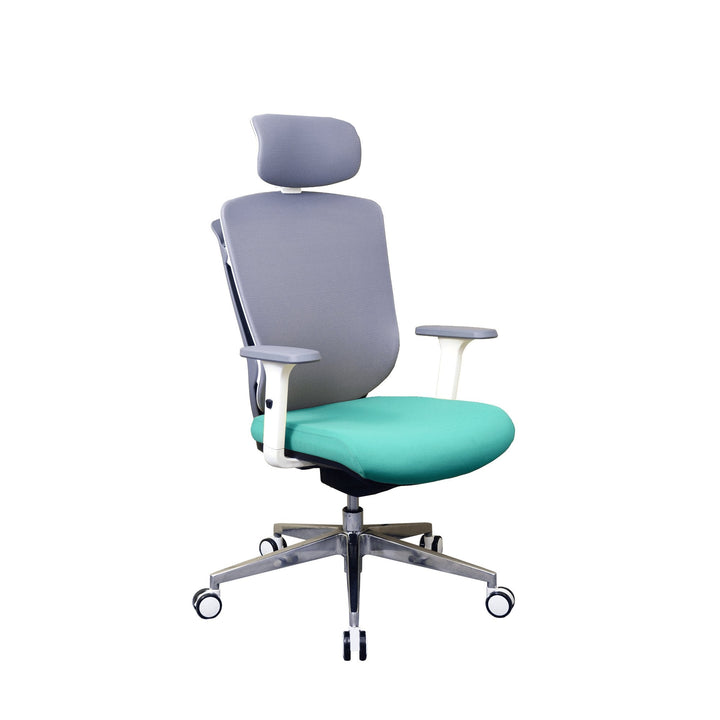 Zenox Zagen Ergonomic Office Chair (Sky Blue) - Office Chair - Zenox - Zenox